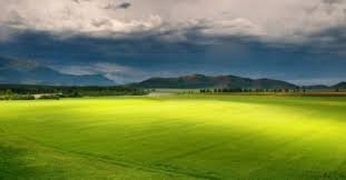 Arsa Yatırımının Avantajları